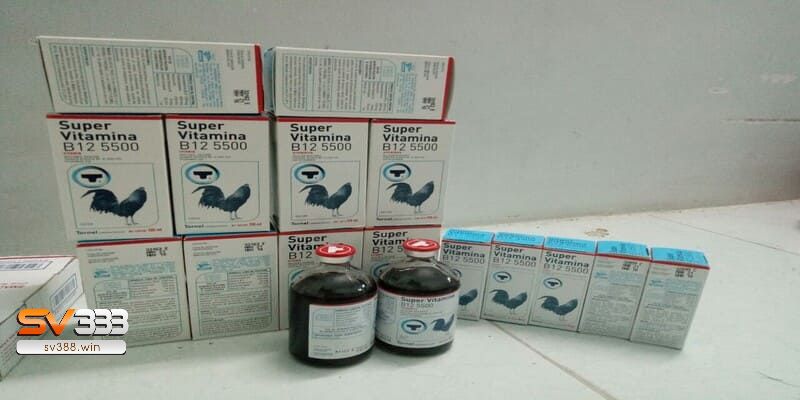 Thuốc Super Vitamina B12 tăng lực cho gà đá