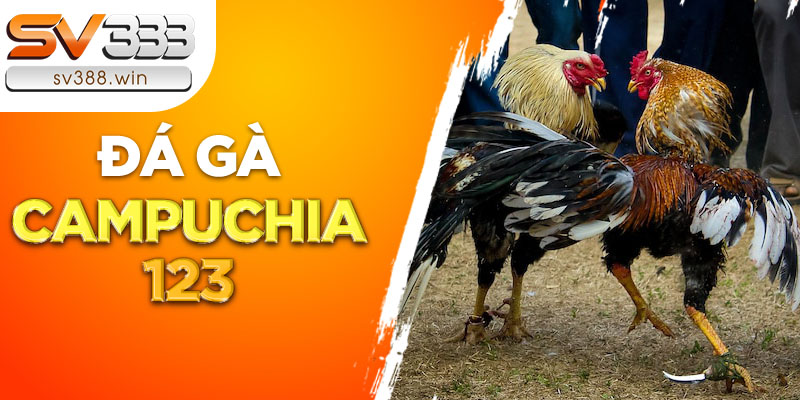 Đá gà Campuchia 123 được nhiều người ưa chuộng