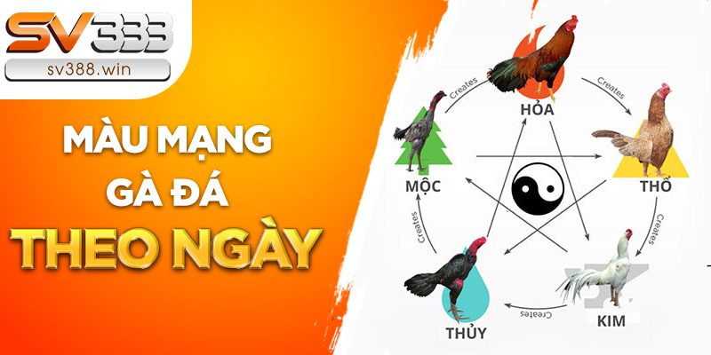Chọn màu mạng gà đá theo ngày theo 12 con giáp