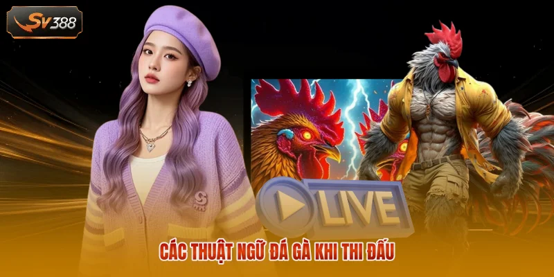 Các thuật ngữ đá gà khi thi đấu