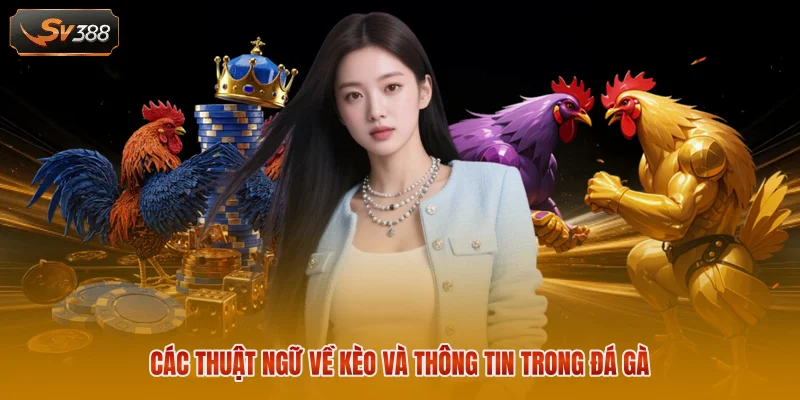 Các thuật ngữ về kèo và thông tin trong đá gà