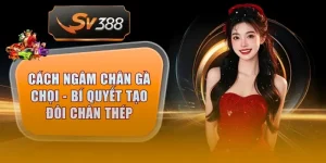 cach ngam chan ga choi thumb 4