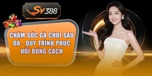 cham soc ga choi sau da thumb 5