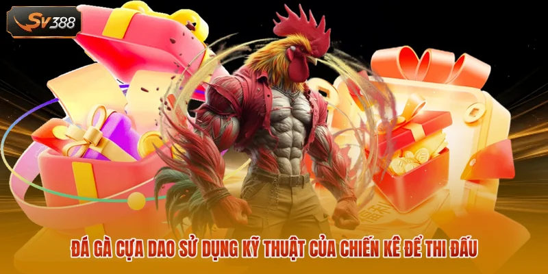 Đá gà cựa dao sử dụng kỹ thuật của chiến kê để thi đấu