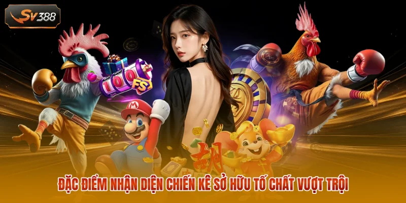 Đặc điểm nhận diện chiến kê sở hữu tố chất vượt trội