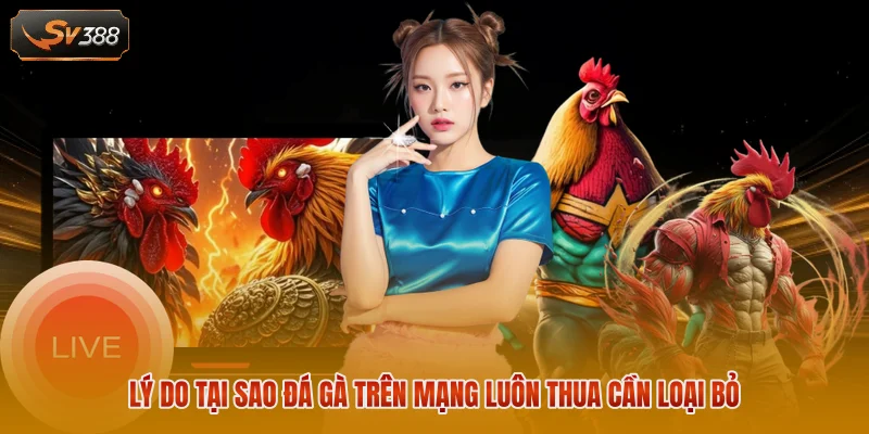 Lý do tại sao đá gà trên mạng luôn thua cần loại bỏ