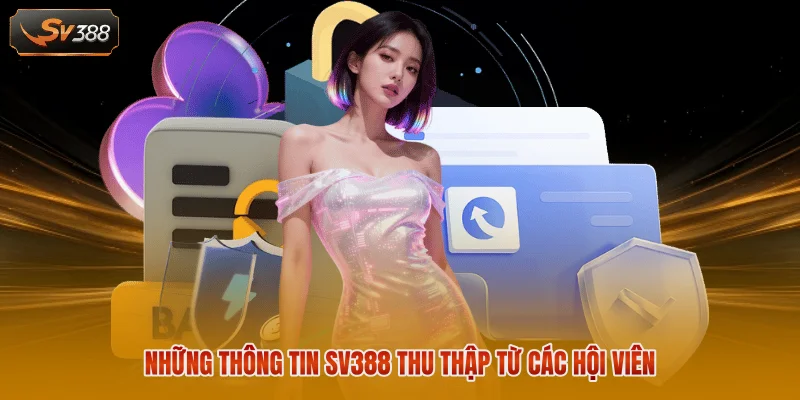 Những thông tin SV388 thu thập từ các hội viên
