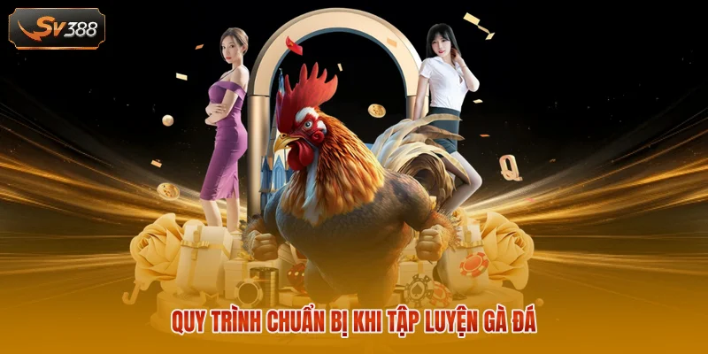 Quy trình chuẩn bị khi tập luyện gà đá