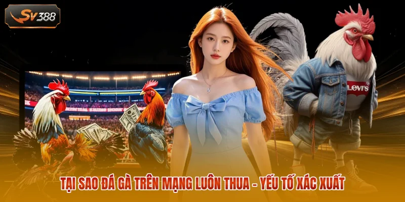 Tại sao đá gà trên mạng luôn thua - yếu tố xác xuất