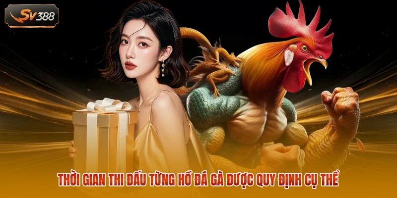 Thời gian thi đấu từng hồ đá gà được quy định cụ thể