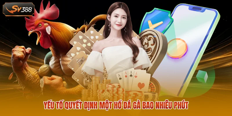 Yếu tố quyết định một hồ đá gà bao nhiêu phút
