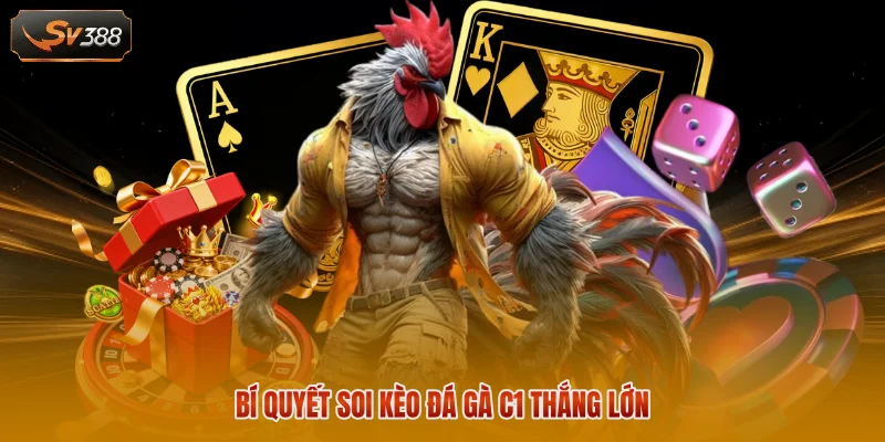Bí quyết soi kèo đá gà C1 thắng lớn 