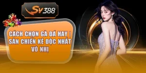 cach chon ga da hay thumb 7