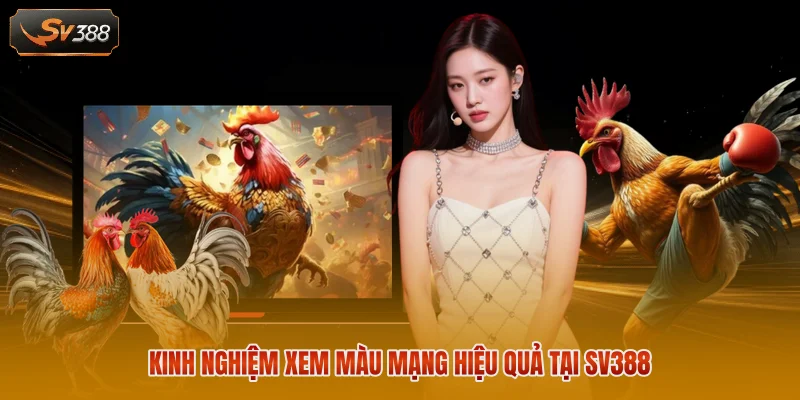 Kinh nghiệm xem màu mạng hiệu quả tại SV388