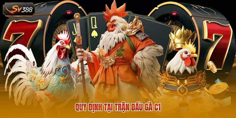 Quy định tại trận đấu gà C1 