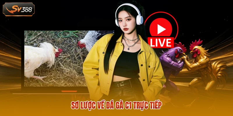 Sơ lược về đá gà C1 trực tiếp 