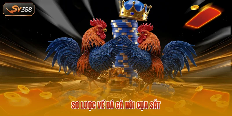 Sơ lược về đá gà nòi cựa sắt 